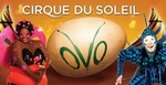 50%OFF Tickets to Cirque Du Soleil OVO Deals and Coupons