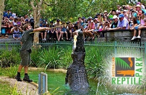 50%OFF Full day pass to the Australian Reptile Park Deals and Coupons