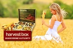 50%OFF  Harvest Box Snack Boxes deals Deals and Coupons