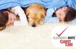 50%OFF 2 Rooms Carpet Steam Cleaned and Stain Removal Deals and Coupons