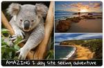 50%OFF  2 Day Great Ocean Road Adventure Deals and Coupons