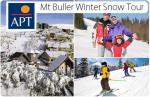 50%OFF Mt Buller Winter Snow Day Tour Deals and Coupons