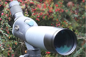 50%OFF Acuter 45 Deg 20-60x80 Deals and Coupons