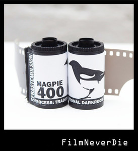 50%OFF Sebastemulsion Magpie 400 35mm BW Film 36exp Deals and Coupons