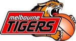 50%OFF Australian National Basketball League tickets Deals and Coupons