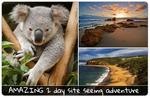50%OFF 2 Day Great Ocean Road Adventure Deals and Coupons