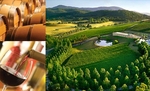 50%OFF Full day tour at Yarra Valley Deals and Coupons