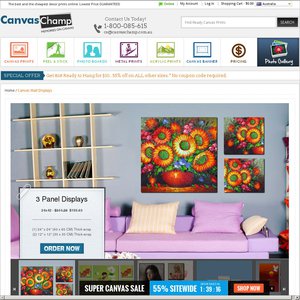 50%OFF  Single and Multi-Panel Canvas Wall Displays, 3 Panel Wall Display  Deals and Coupons