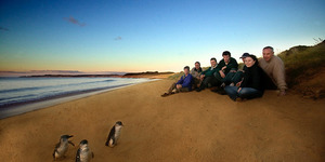 20%OFF 1 Day Tour at Mornington Peninsula & Penguins Parade Deals and Coupons