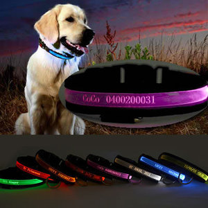 1%OFF Laser Engraved Name LED Lights Dog Pet Collar Deals and Coupons