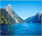50%OFF 7 nights stay for 2 adults and 2 kids in New Zealand.  Deals and Coupons