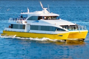 50%OFF Syd Fast Ferries Deals and Coupons