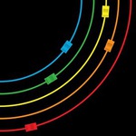 50%OFF Song