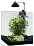 50%OFF Fish Tank Deals and Coupons