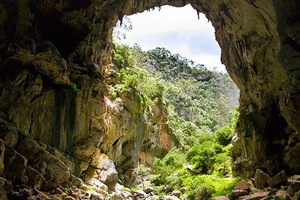 49%OFF  Full day Jenolan caves tour Deals and Coupons