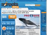 50%OFF  Whale Watching Tour Deals and Coupons