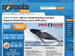 50%OFF Whale Watching Tour Deals and Coupons