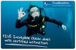 50%OFF PADI Diving Courses Deals and Coupons