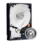 50%OFF Western Digital Caviar Black WD2002FAEX 2TB Deals and Coupons