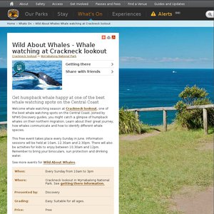 50%OFF Wild About Whales  Deals and Coupons