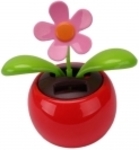 50%OFF Solar Powered Dancing Flower Deals and Coupons