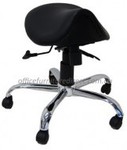 10%OFF Saddle Chair/Stool  Deals and Coupons