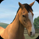 50%OFF My Horse iOS app Deals and Coupons